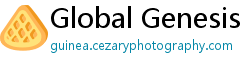 Global Genesis news portal